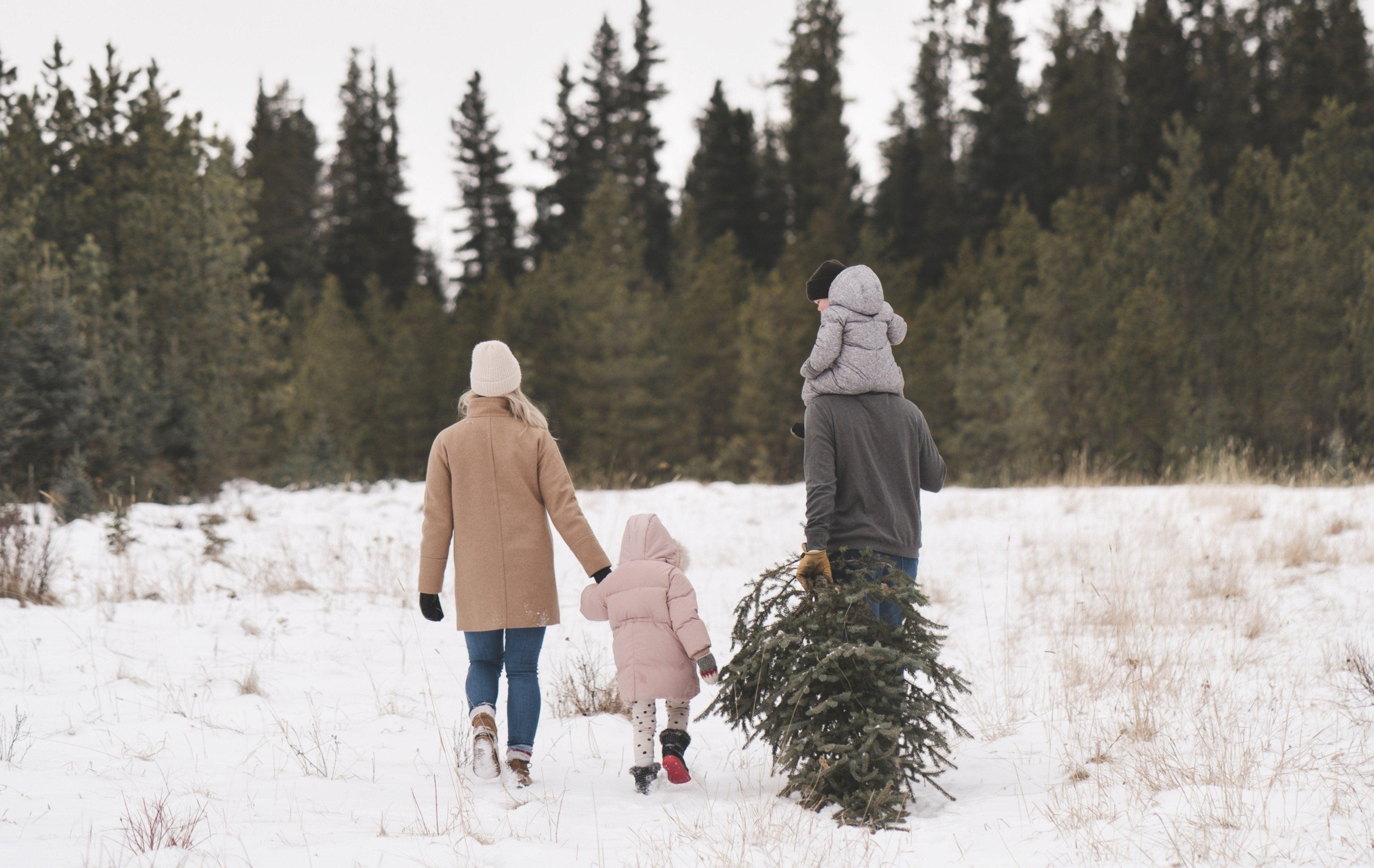 What is Fair Use and When Does it Apply to My Images? – TheLawTog®