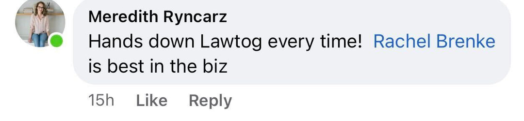 Meredith Ryncarz praise for The LawTog
